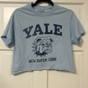 Yale Light Blue Cropped T-Shirt with Bulldog Graphic Size Small